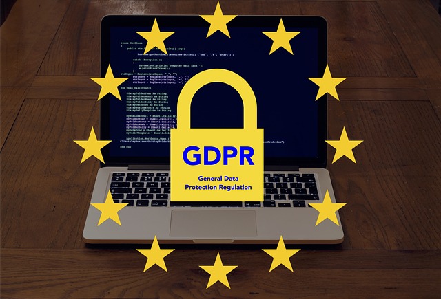 GDPR for security